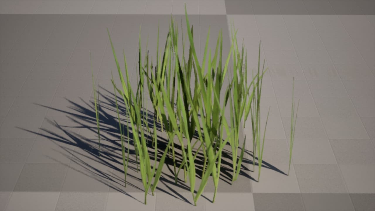 Rendered grass surface (render-truth)